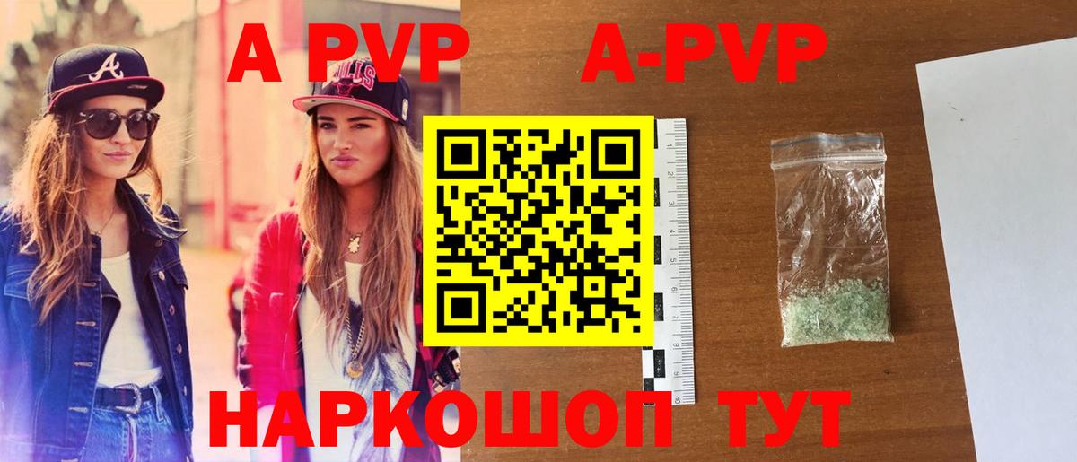 A PVP СК КРИС Курск