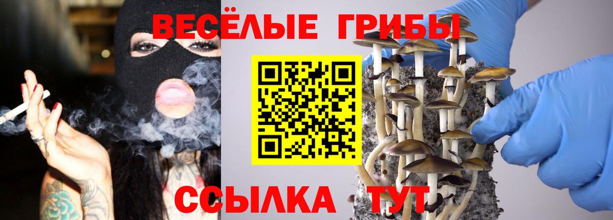 Псилоцибиновые грибы Cubensis Курск
